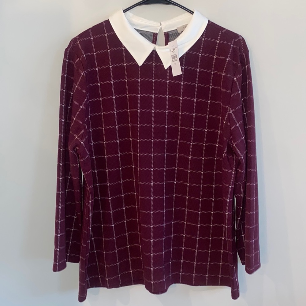 Peter Pan Collar Shirt Bundle